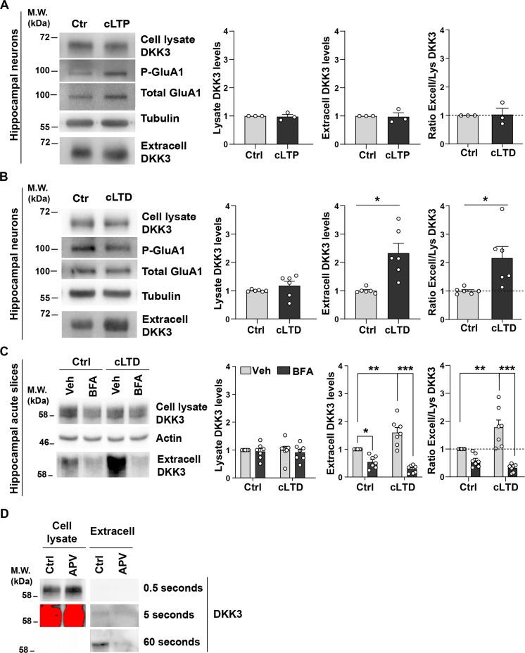 https://cdn.ncbi.nlm.nih.gov/pmc/blobs/2e53/10945611/6cd43aeb8baa/elife-89453-fig2-figsupp3.jpg