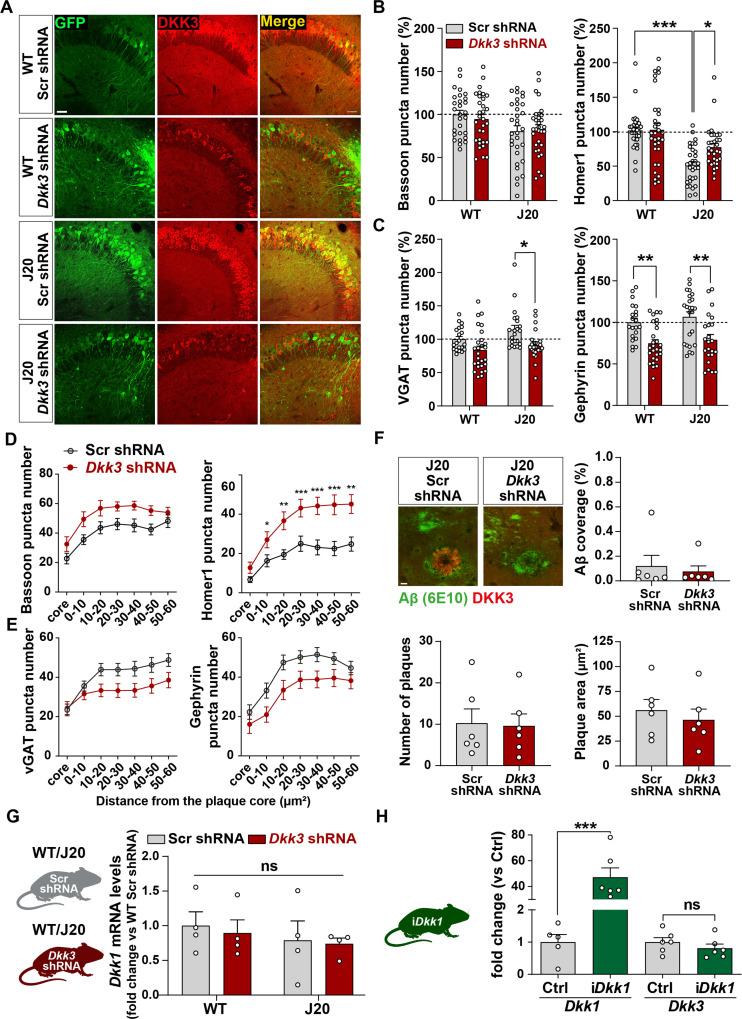 https://cdn.ncbi.nlm.nih.gov/pmc/blobs/2e53/10945611/7078c931769d/elife-89453-fig6-figsupp1.jpg