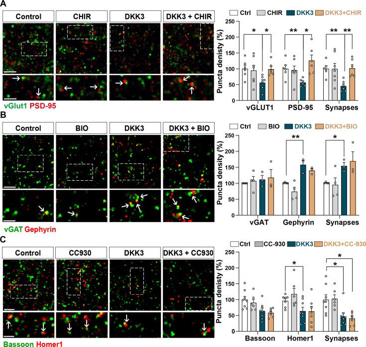 https://cdn.ncbi.nlm.nih.gov/pmc/blobs/2e53/10945611/938160043bbf/elife-89453-fig4-figsupp1.jpg