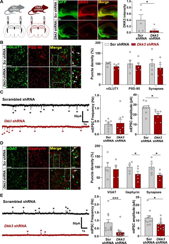 https://cdn.ncbi.nlm.nih.gov/pmc/blobs/2e53/10945611/b191cf765dac/elife-89453-fig5.jpg