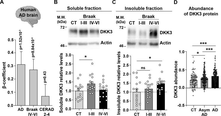 https://cdn.ncbi.nlm.nih.gov/pmc/blobs/2e53/10945611/bdfa62af94a4/elife-89453-fig1.jpg