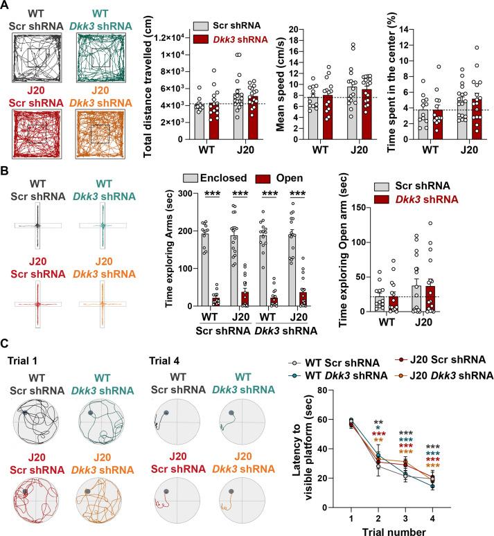 https://cdn.ncbi.nlm.nih.gov/pmc/blobs/2e53/10945611/f0ef85b4349c/elife-89453-fig7-figsupp1.jpg