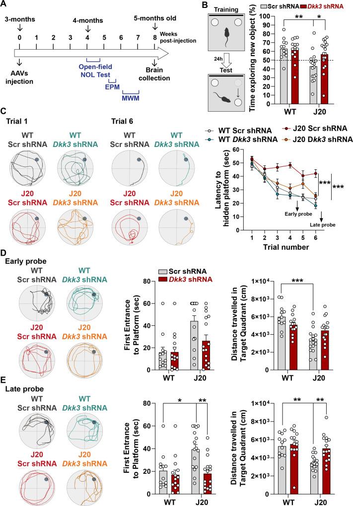 https://cdn.ncbi.nlm.nih.gov/pmc/blobs/2e53/10945611/faebed9b9fac/elife-89453-fig7.jpg