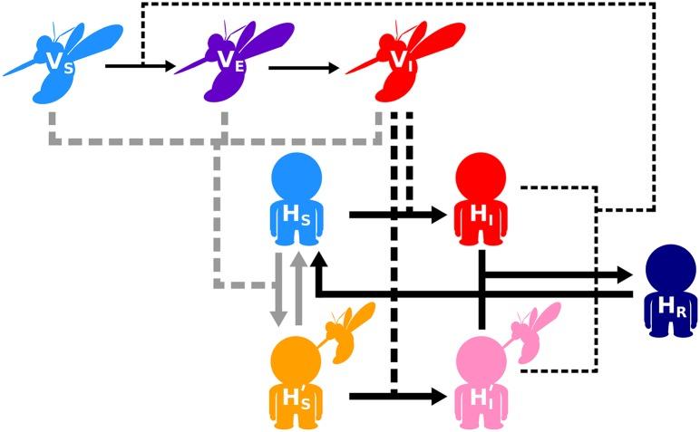 https://cdn.ncbi.nlm.nih.gov/pmc/blobs/2e53/5648264/6e620a390a6b/pntd.0005956.g001.jpg