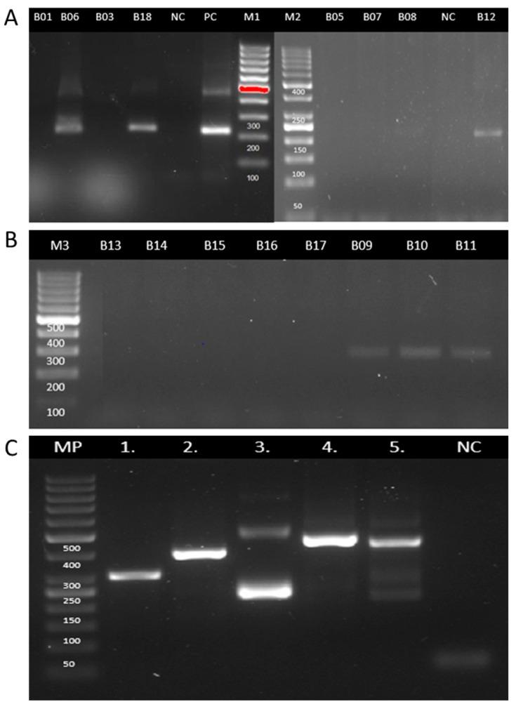 https://cdn.ncbi.nlm.nih.gov/pmc/blobs/2e54/12390503/3d4d949dd7b9/tropicalmed-10-00232-g004.jpg