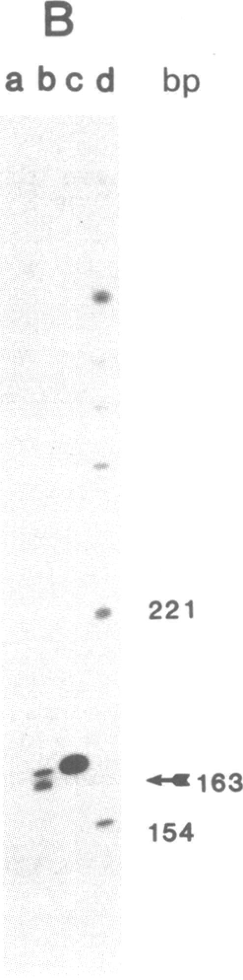 https://cdn.ncbi.nlm.nih.gov/pmc/blobs/2e54/346100/3dd3472f2c11/pnas00445-0284-a.jpg
