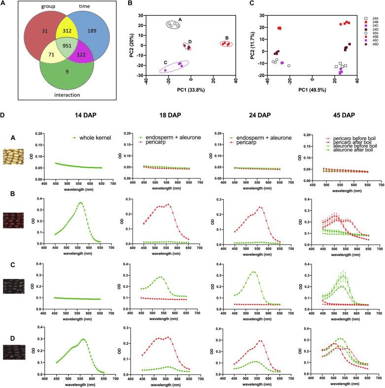 https://cdn.ncbi.nlm.nih.gov/pmc/blobs/2e55/7874058/f218b98d41e0/fpls-11-619598-g004.jpg