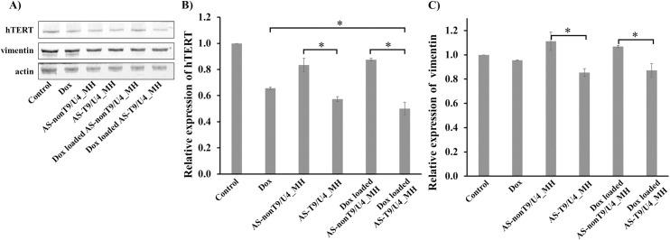 https://cdn.ncbi.nlm.nih.gov/pmc/blobs/2e56/11825018/4b092ba7891e/pone.0317559.g009.jpg