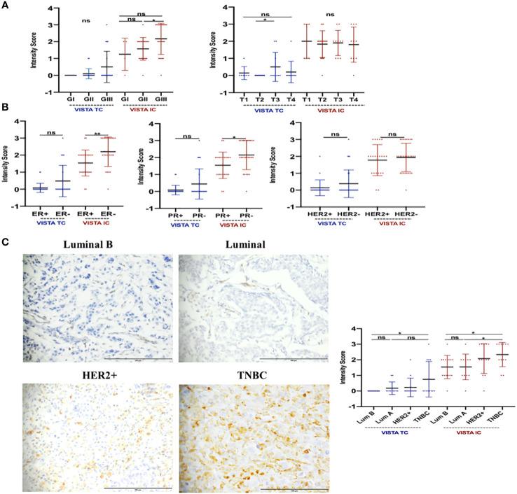 https://cdn.ncbi.nlm.nih.gov/pmc/blobs/2e59/10157209/55bcdeb1e678/fonc-13-1154631-g004.jpg