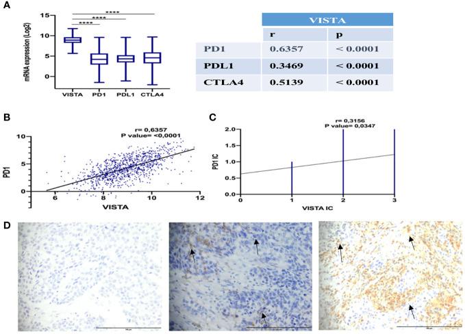 https://cdn.ncbi.nlm.nih.gov/pmc/blobs/2e59/10157209/9af1dd57c10b/fonc-13-1154631-g006.jpg