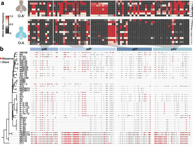 https://cdn.ncbi.nlm.nih.gov/pmc/blobs/2e5a/8597283/e37403add545/40168_2021_1174_Fig3_HTML.jpg