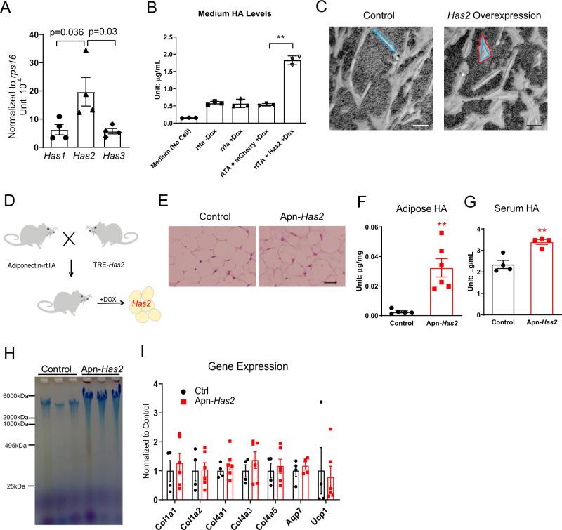 https://cdn.ncbi.nlm.nih.gov/pmc/blobs/2e5b/8355239/7d737d05f56b/41467_2021_25025_Fig3_HTML.jpg