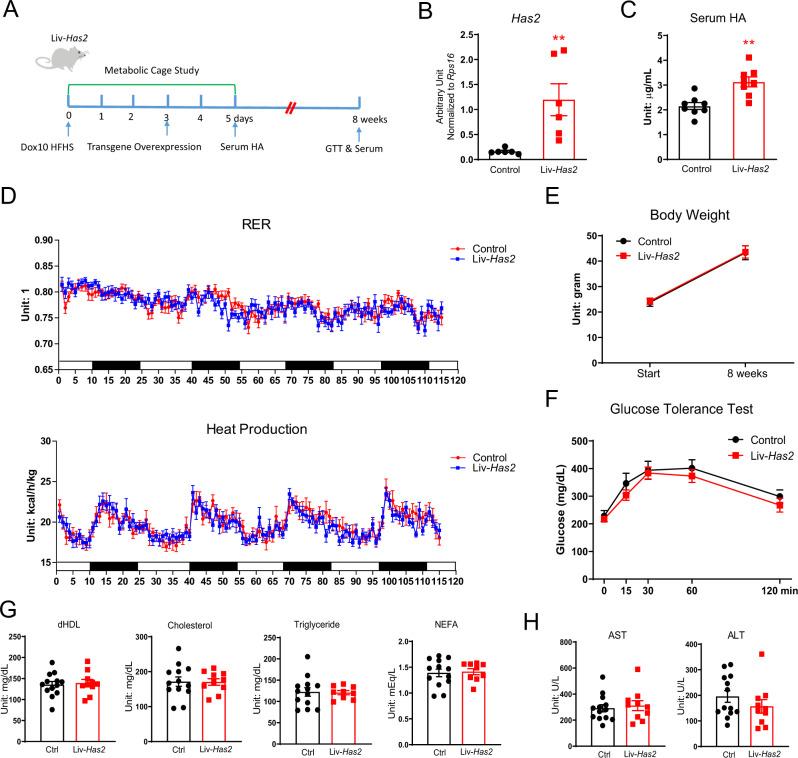 https://cdn.ncbi.nlm.nih.gov/pmc/blobs/2e5b/8355239/cd1876f0bad5/41467_2021_25025_Fig6_HTML.jpg