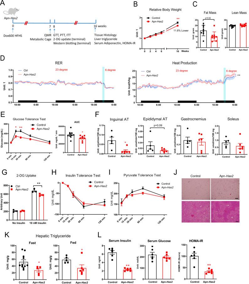 https://cdn.ncbi.nlm.nih.gov/pmc/blobs/2e5b/8355239/e7bb6c4e2822/41467_2021_25025_Fig4_HTML.jpg