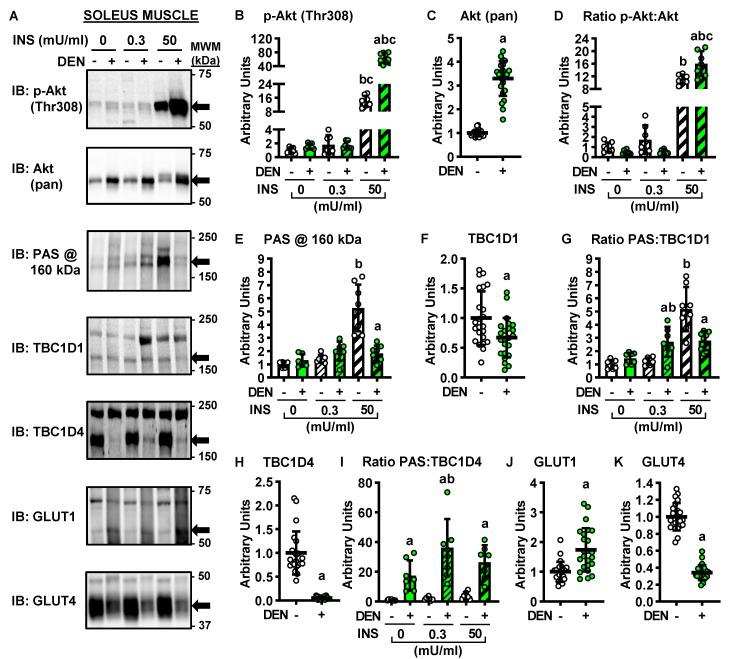 https://cdn.ncbi.nlm.nih.gov/pmc/blobs/2e5f/8125496/1acf5d216b72/ijms-22-04913-g003.jpg