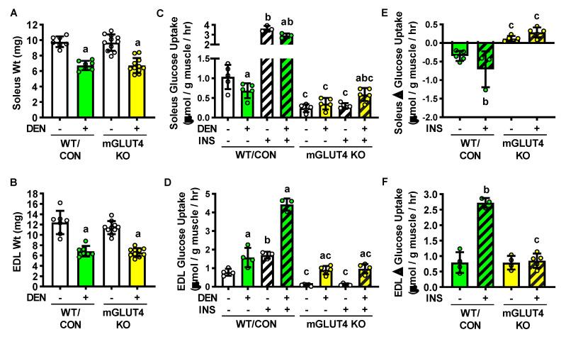 https://cdn.ncbi.nlm.nih.gov/pmc/blobs/2e5f/8125496/4806acd4d6c2/ijms-22-04913-g005.jpg