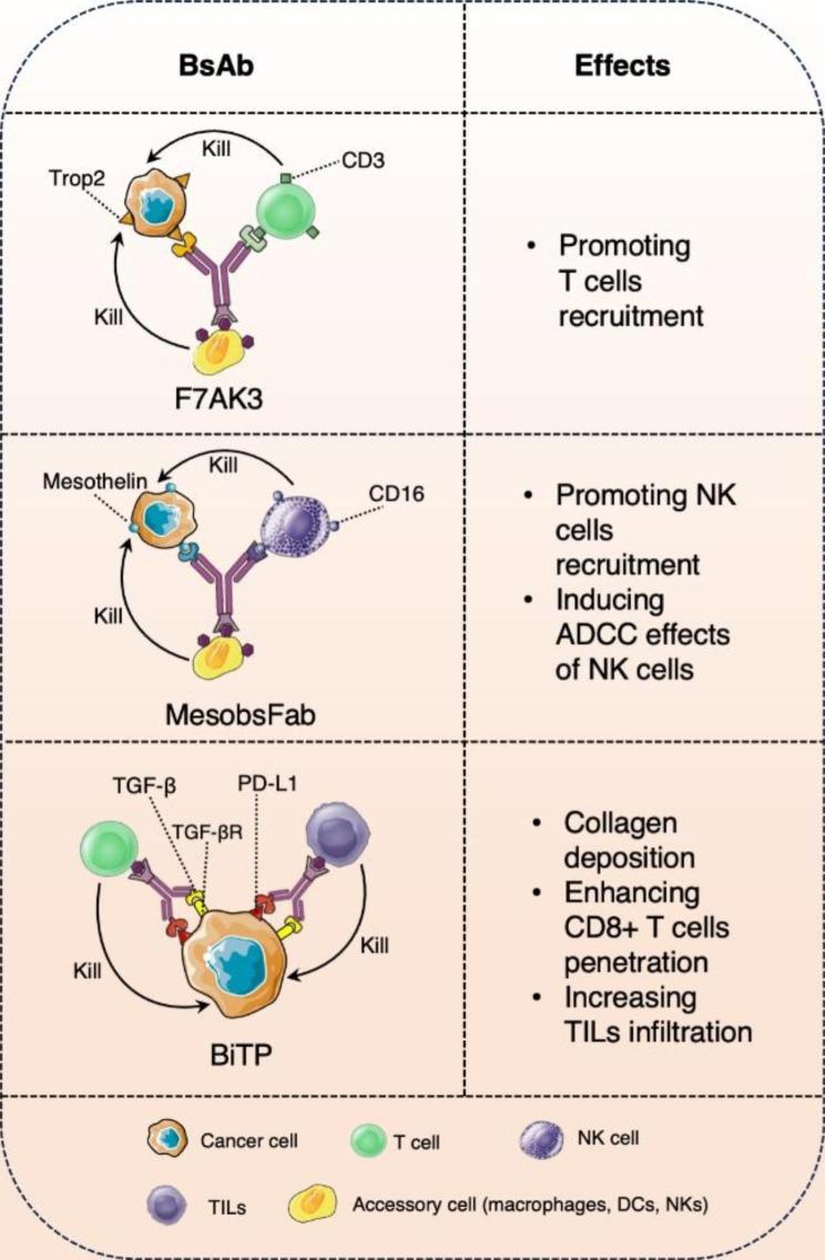 https://cdn.ncbi.nlm.nih.gov/pmc/blobs/2e60/10474743/0b5166d4e49f/12943_2023_1850_Fig6_HTML.jpg