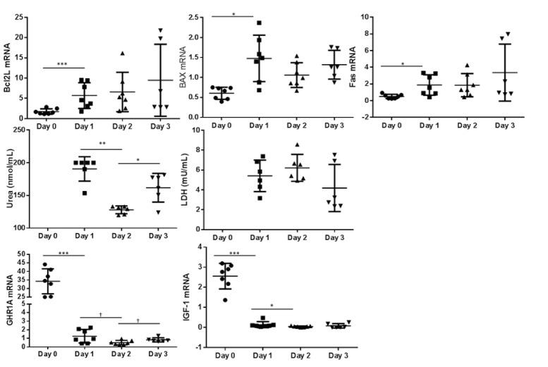 https://cdn.ncbi.nlm.nih.gov/pmc/blobs/2e62/5341011/944dc94e3166/EXCLI-15-858-g-002.jpg