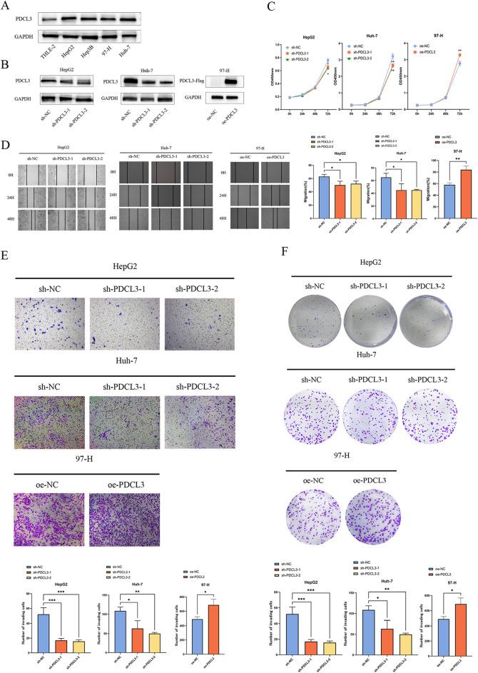 https://cdn.ncbi.nlm.nih.gov/pmc/blobs/2e63/10946092/6e99dc7fdb76/40001_2024_1787_Fig7_HTML.jpg