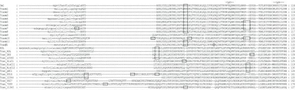 https://cdn.ncbi.nlm.nih.gov/pmc/blobs/2e65/2064938/dec6f947efa1/1471-2164-8-327-1.jpg