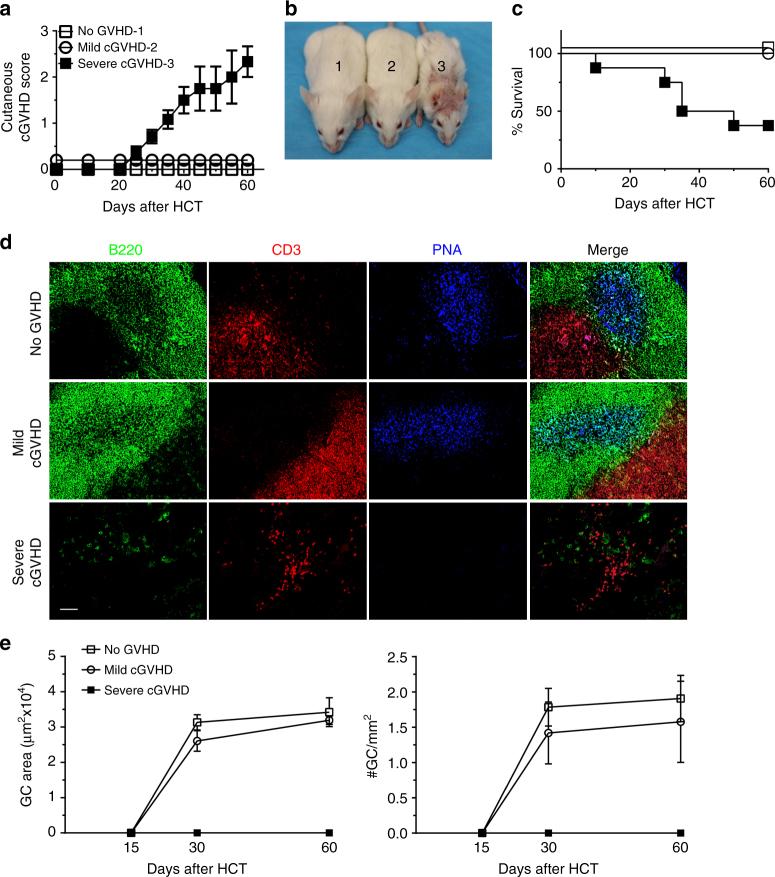 https://cdn.ncbi.nlm.nih.gov/pmc/blobs/2e65/5645449/b9dc2ac13b32/41467_2017_880_Fig1_HTML.jpg