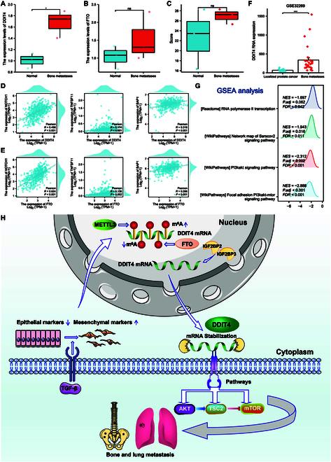 https://cdn.ncbi.nlm.nih.gov/pmc/blobs/2e66/10879844/13d547eb57ba/research.0313.fig.010.jpg