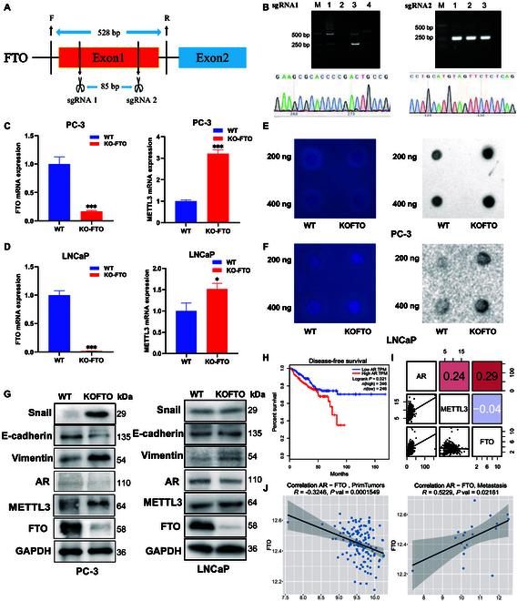 https://cdn.ncbi.nlm.nih.gov/pmc/blobs/2e66/10879844/4dbc38e5d3bb/research.0313.fig.003.jpg