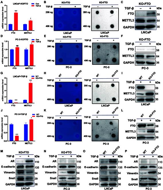 https://cdn.ncbi.nlm.nih.gov/pmc/blobs/2e66/10879844/ddd8869b0c9b/research.0313.fig.004.jpg