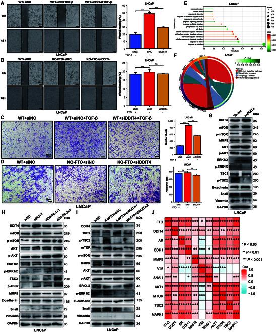 https://cdn.ncbi.nlm.nih.gov/pmc/blobs/2e66/10879844/eec3700a9669/research.0313.fig.008.jpg