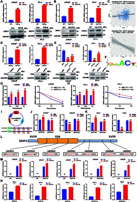 https://cdn.ncbi.nlm.nih.gov/pmc/blobs/2e66/10879844/f59bb4acb494/research.0313.fig.006.jpg