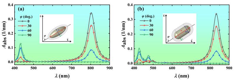 https://cdn.ncbi.nlm.nih.gov/pmc/blobs/2e67/10892335/1e2c8d1ef87d/nanomaterials-14-00325-g008.jpg