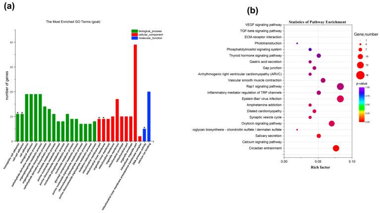 https://cdn.ncbi.nlm.nih.gov/pmc/blobs/2e67/11594888/69c6b38126c5/ijms-25-12450-g005.jpg