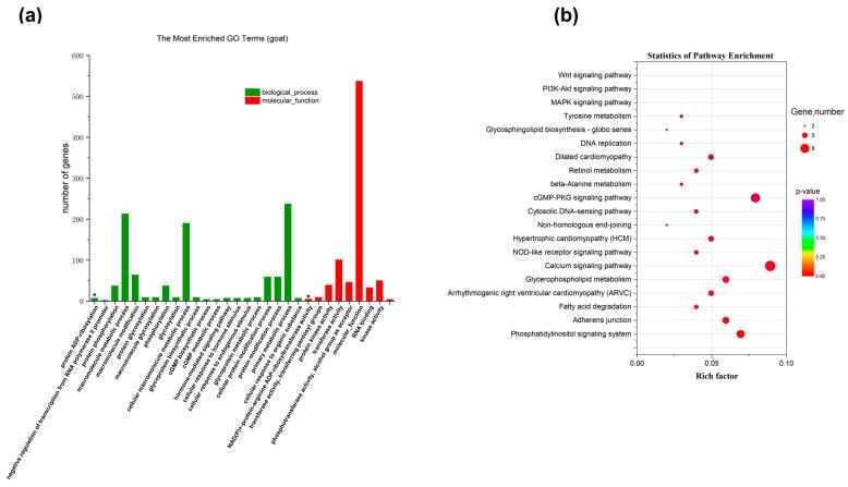 https://cdn.ncbi.nlm.nih.gov/pmc/blobs/2e67/11594888/aabcdee450d2/ijms-25-12450-g004.jpg