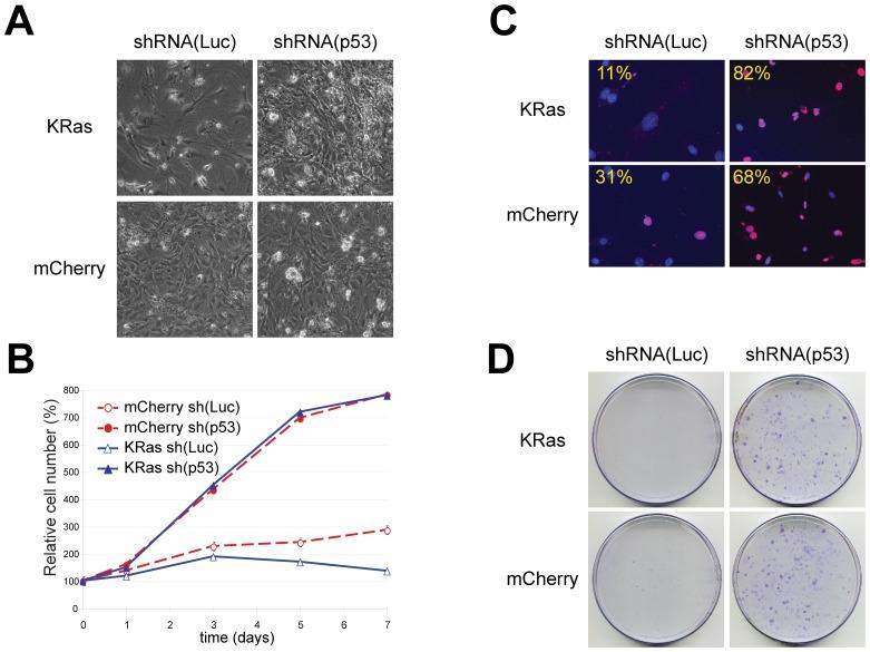 https://cdn.ncbi.nlm.nih.gov/pmc/blobs/2e67/3795761/50e7eb7ed58c/pone.0076279.g005.jpg