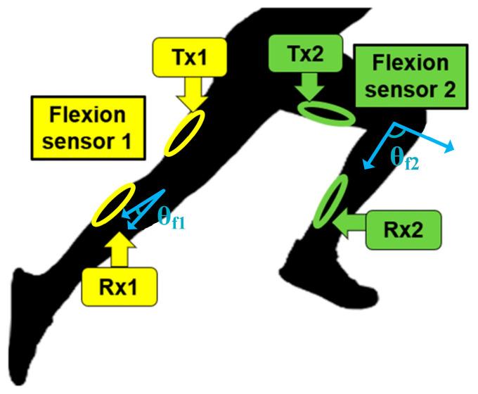 https://cdn.ncbi.nlm.nih.gov/pmc/blobs/2e69/10933893/e73411b44792/sensors-24-01549-g001.jpg