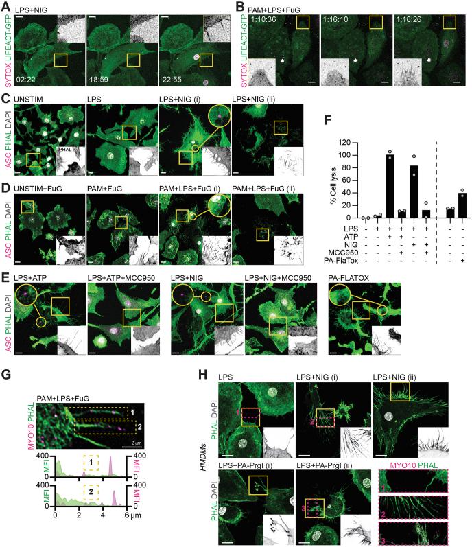 https://cdn.ncbi.nlm.nih.gov/pmc/blobs/2e6b/11695261/3c10da03d566/41590_2024_2024_Fig6_ESM.jpg