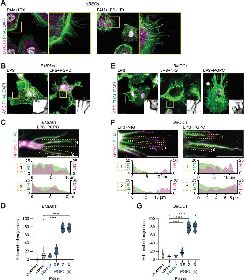 https://cdn.ncbi.nlm.nih.gov/pmc/blobs/2e6b/11695261/758cc6cd0ef5/41590_2024_2024_Fig8_ESM.jpg
