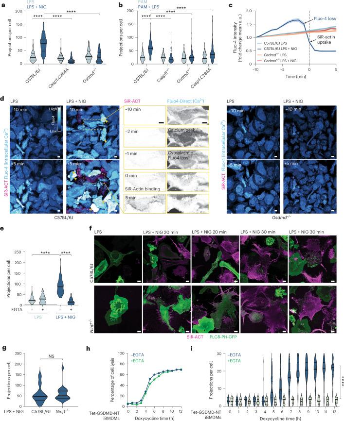 https://cdn.ncbi.nlm.nih.gov/pmc/blobs/2e6b/11695261/81c1ddf20ea2/41590_2024_2024_Fig2_HTML.jpg