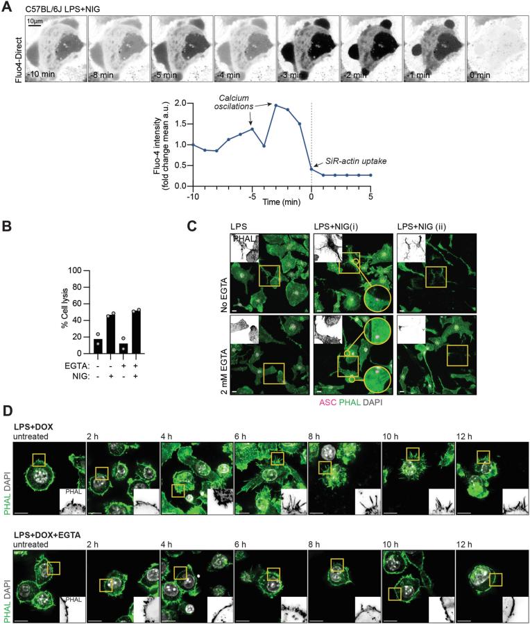 https://cdn.ncbi.nlm.nih.gov/pmc/blobs/2e6b/11695261/c229faa95d89/41590_2024_2024_Fig10_ESM.jpg