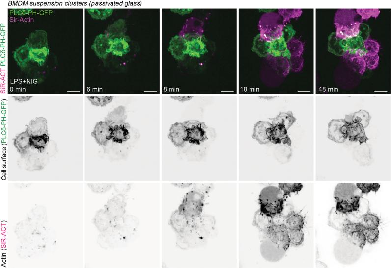 https://cdn.ncbi.nlm.nih.gov/pmc/blobs/2e6b/11695261/efce2dbf7acf/41590_2024_2024_Fig7_ESM.jpg
