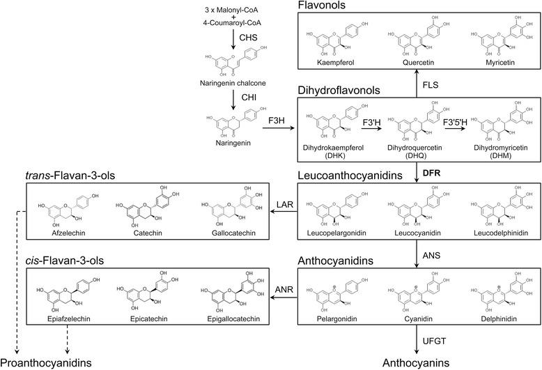 https://cdn.ncbi.nlm.nih.gov/pmc/blobs/2e6b/5725924/1613f26e03f9/12870_2017_1200_Fig1_HTML.jpg