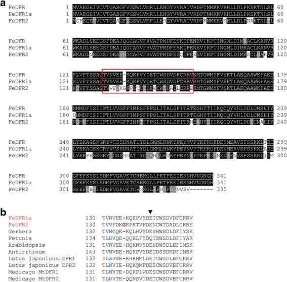 https://cdn.ncbi.nlm.nih.gov/pmc/blobs/2e6b/5725924/babf286c6414/12870_2017_1200_Fig3_HTML.jpg