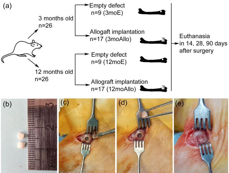 https://cdn.ncbi.nlm.nih.gov/pmc/blobs/2e6d/9804061/a13464a345d8/RJME-63-2-349-fig1.jpg