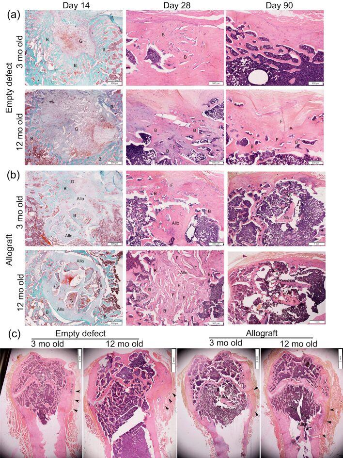 https://cdn.ncbi.nlm.nih.gov/pmc/blobs/2e6d/9804061/e027fff767df/RJME-63-2-349-fig2.jpg