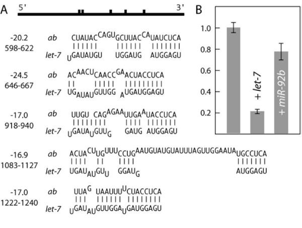 https://cdn.ncbi.nlm.nih.gov/pmc/blobs/2e6e/1180435/2ee08143cbb0/1471-2164-6-88-1.jpg