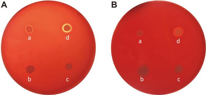 https://cdn.ncbi.nlm.nih.gov/pmc/blobs/2e6f/9628813/3b53296a5038/jmb-32-4-458-f1.jpg