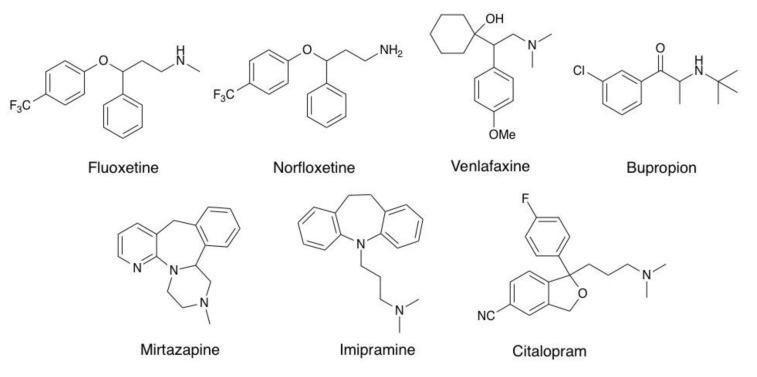 https://cdn.ncbi.nlm.nih.gov/pmc/blobs/2e71/7918632/8a5e92b06153/molecules-26-00998-g001.jpg