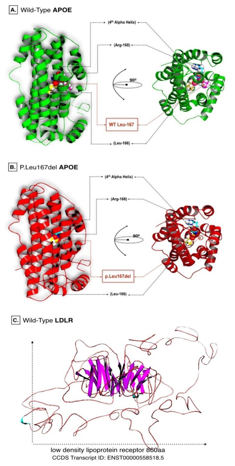https://cdn.ncbi.nlm.nih.gov/pmc/blobs/2e72/5688386/8744f37647eb/TOCMJ-11-84_F1.jpg