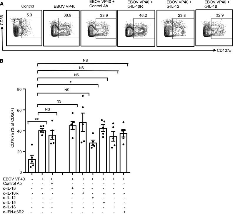 https://cdn.ncbi.nlm.nih.gov/pmc/blobs/2e73/9462474/29642cbaf57b/jciinsight-7-158902-g213.jpg
