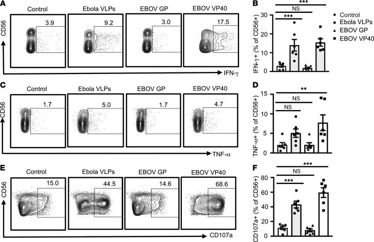 https://cdn.ncbi.nlm.nih.gov/pmc/blobs/2e73/9462474/4389080dbec2/jciinsight-7-158902-g209.jpg